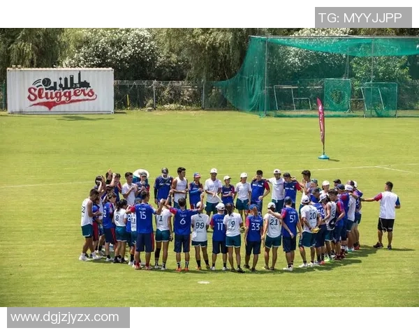 北京飞盘队的崛起与实力分析探索飞盘运动的魅力与团队精神